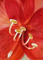 Amaryllis II - Watercolor Paintings - By Artist Irina Sztukowski, Realism Painting Artist