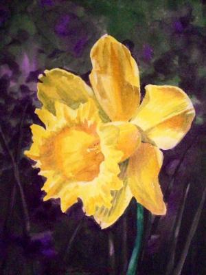 Flowers - Yellow Iris - Watercolor