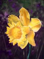 Yellow Iris - Watercolor Paintings - By Artist Irina Sztukowski, Realism Painting Artist