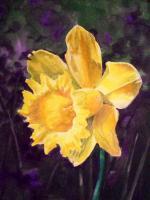 Flowers - Yellow Iris - Watercolor