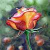 Morning Rose - Watercolor Paintings - By Artist Irina Sztukowski, Realism Painting Artist