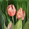 Tulips - Watercolor Paintings - By Artist Irina Sztukowski, Realism Painting Artist