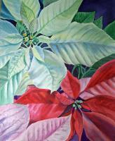 Poinsettia - Watercolor Paintings - By Artist Irina Sztukowski, Realism Painting Artist