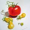 Tomato Dance - Morning Harvest - Watercolor Paintings - By Artist Irina Sztukowski, Realism Painting Artist