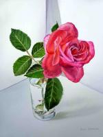 Pink Rose - Watercolor Paintings - By Artist Irina Sztukowski, Realism Painting Artist