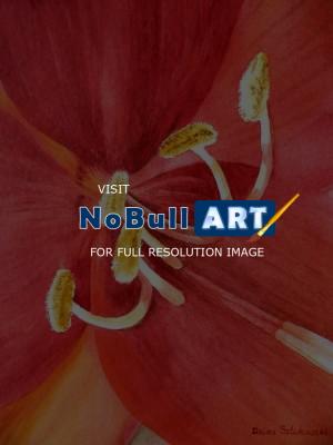 Flowers - Amaryllis I - Watercolor