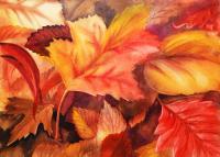 Fall Leaves - Watercolor Paintings - By Artist Irina Sztukowski, Decorative Painting Artist