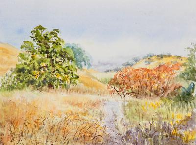 Landscapes - California Parks - Briones Park In Martinez - Watercolor