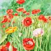 Landscape With Poppy Field - Watercolor Paintings - By Artist Irina Sztukowski, Realism Painting Artist