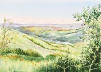 Inspiration Point Orinda California - Watercolor Paintings - By Artist Irina Sztukowski, Realism Painting Artist