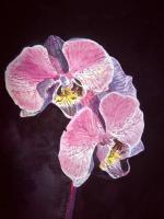 Orchids - Watercolor Paintings - By Artist Irina Sztukowski, Realism Painting Artist