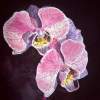 Orchids - Watercolor Paintings - By Artist Irina Sztukowski, Realism Painting Artist