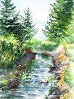 Landscapes - Forest Creek - Watercolor