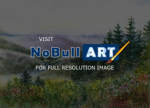 Landscapes - Redwood Creek National Park - Watercolor