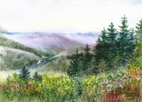 Landscapes - Redwood Creek National Park - Watercolor