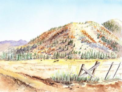 Landscapes - Californian Landscape Saint John Ranch Bald Mountain View - Watercolor