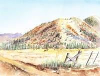Californian Landscape Saint John Ranch Bald Mountain View - Watercolor Paintings - By Artist Irina Sztukowski, Realism Painting Artist