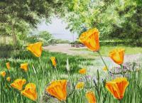 Flowers - Landscape With California Poppies - Watercolor