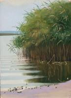Cane On The Bank Of Samara - Oil On Cardboard 247 X 339 Mm Paintings - By Yurii Makovetsky, Realism Painting Artist