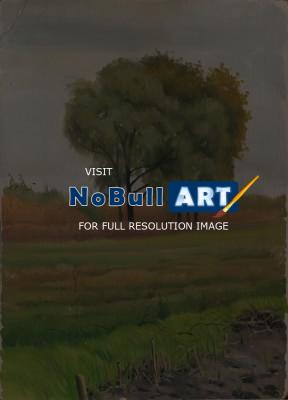 My Paintigs - Willows At The Bank Of Tatarka - Oil On Cardboard 345 X 479 Mm