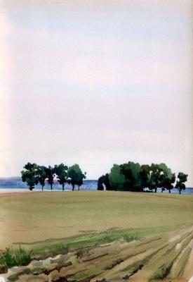 My Paintigs - Oleksandrivka Field - Watercolor On Paper 241 X 350 