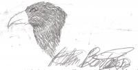 Study Guide Bird - Good Ol Pencil Drawings - By Nathan Bartosek, Nature Drawing Artist