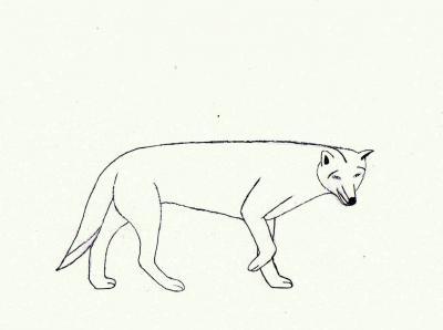 Random Other Art - Wolf - Good Ol Pencil