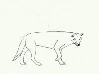 Random Other Art - Wolf - Good Ol Pencil