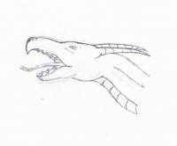 Dragon Head Concept - Good Ol Pencil Drawings - By Nathan Bartosek, Fantasy Drawing Artist