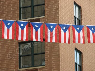 Puerto Rico Flag Series - Flags Line - Digital