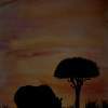 Rhinos Tree - Watercolor Paintings - By Kandis Cowan, Animals Painting Artist