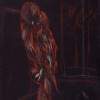 Owl - Pastel Drawings - By Salih Habibnazarov, Mixed Technique Drawing Artist