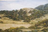 Landscape - Landscape 1497 - Oil On Canvas