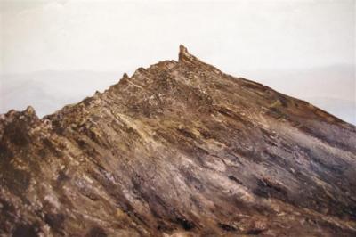 Landscape - Mt Mueller 4666 - Oil On Canvas