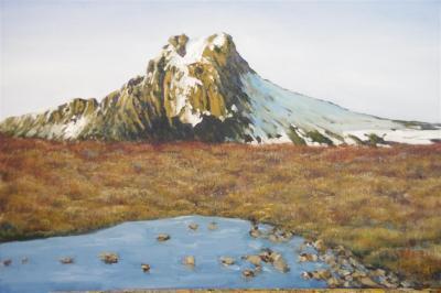 Landscape - Cradle Mountain - Oil On Canvas