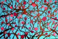 Abstract - Cherry Blossoms - Acrylic On Gallery Wrapped Can