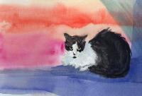 Cats - Tom - Gone But Not Forgotten - Watercolor