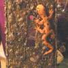 Lizard On A Single Switch Plate - Polymer Clay Mostly Other - By C Kathleen Summers, Commercial Other Artist