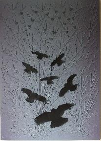 Add New Collection - Rooks 2012 - Spray Paint