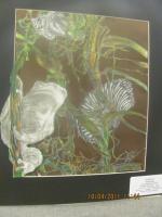 Mother Nature - Pencil Drawings - By Chelsea Alexander, Pencilebonycanvas Drawing Artist