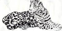 Jaguar - Pen And Ink Drawings - By John Heslep, Realism Drawing Artist