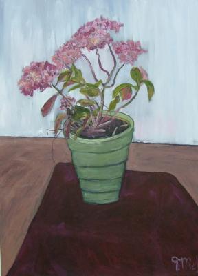 Still Life - Chrysanthemum - Acrylic On Board