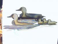 Mallard Ducks - Steel Sculptures - By Rob White, Realism Sculpture Artist