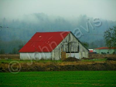 Barns - Red Roof Barn - Digital