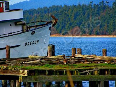 Water Harbor Towns - Old Boat Dock With Young Goose - Digital