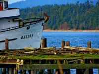 Water Harbor Towns - Old Boat Dock With Young Goose - Digital