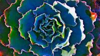 Blending The Blues - Digital Digital - By John Davis, Nature Digital Artist