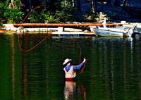 Lake Mary Lasso - Digital Photography - By John Davis, Nature Photography Artist