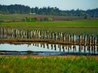 Clear Calm Coupeville - Digital Photography - By John Davis, Nature Photography Artist