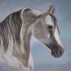 Arabian Sunlite - Pastel Paintings - By Cynthia Riley, Realism Painting Artist